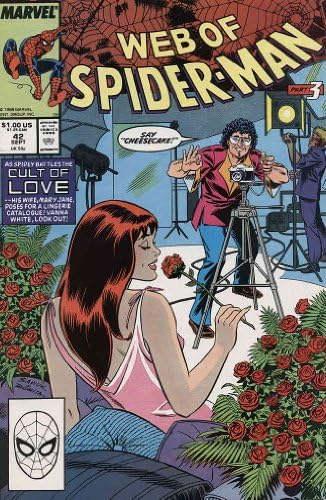 Интернет на Човека-паяк, 42 серия на Marvel comics | Питър Дейвид