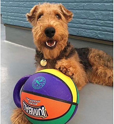 GiGwi Jumball Гумена Баскетболна Играчка за Кучета с дръжка С висока Видимост, За да се Хвърлят и Извличане на Кучешка Играчка Топка